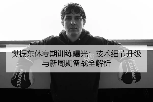 樊振东休赛期训练曝光：技术细节升级与新周期备战全解析