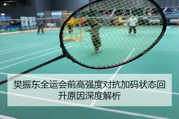 樊振东全运会前高强度对抗加码状态回升原因深度解析