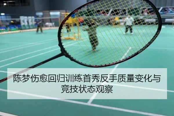 陈梦伤愈回归训练首秀反手质量变化与竞技状态观察